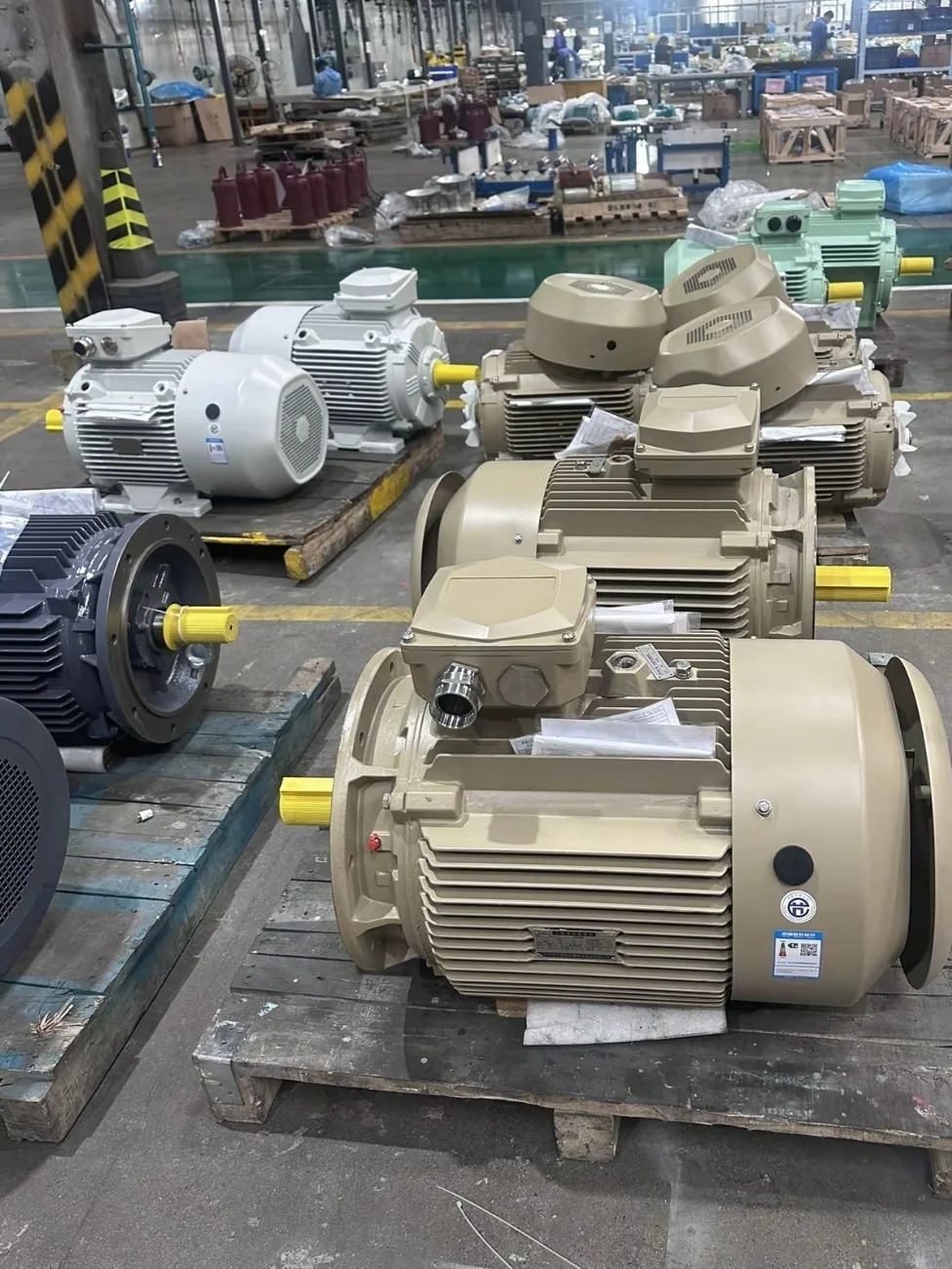 1040g2sg31f9k46n9mid05pdv8dg3kmp9fo8gfggnd Dft Wlteh Webp 3